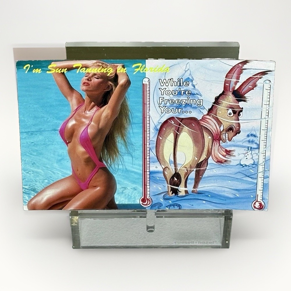 Vintage Florida Sun Tanning Bikini Comic Postcardβ Sun Cost Cards Largo FL